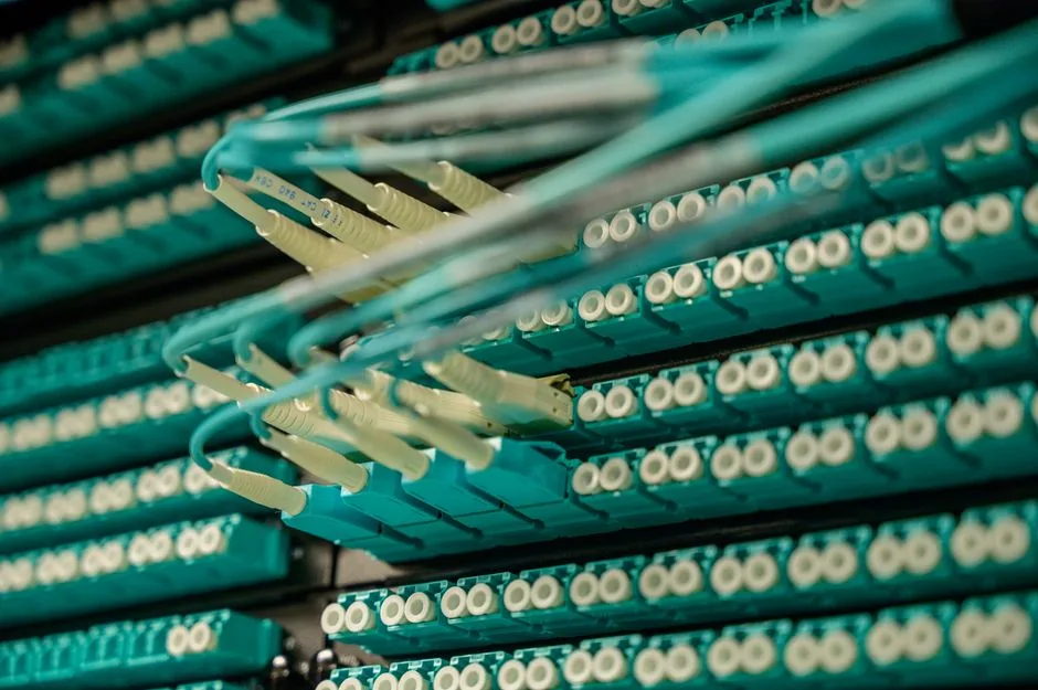 Cheap vs Reliable Hosting: What Cameroonian Businesses Should Know