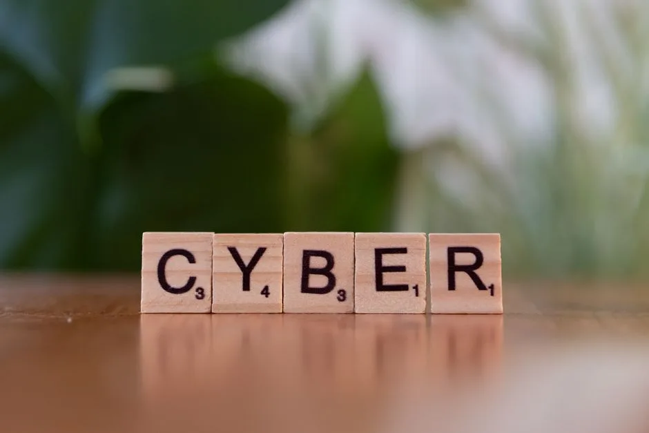 Data Protection and Compliance for Businesses in Cameroon