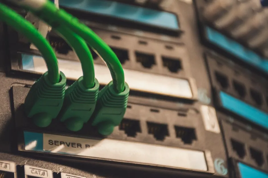 VPS Linux vs Windows : lequel choisir ?